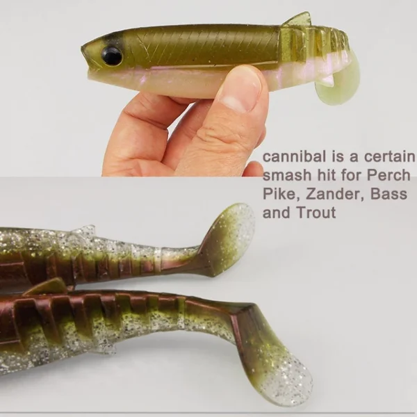 leurres souple pour attraper les truites .bar.ESFISHING – Image 3