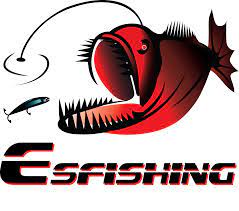 ESFISHING LEURRE ALIEXPRESS